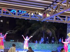 -渔家火锅·海鲜自助餐·演艺(亚龙湾天域酒店)