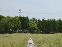 -乌村