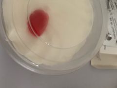 -红宝石·鲜奶小方(曲阳店)