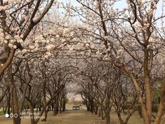 -奥林匹克森林公园南门-停车场