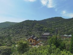 -树山生态村