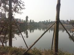 -枫香湖儿童公园