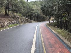 -南京市无想山景区