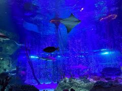 -沈阳海洋探索中心