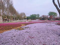-石家庄市植物园