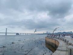 -星海广场