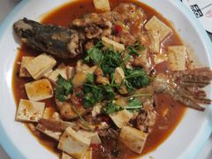 -煲来饱去冷水鱼