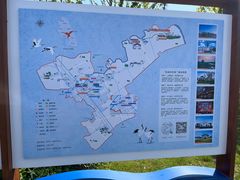 -盐城丹顶鹤湿地生态旅游区