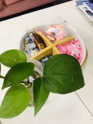 -babiline芭比莱恩半永久纹眉纹唇发际线