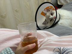 -派特宠物医院(圆融广场店)