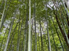 -兰亭风景区