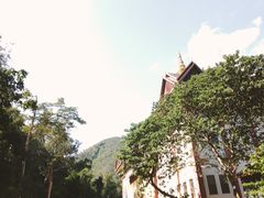 -西双版纳原始森林公园