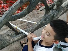 -华夏文旅海洋公园