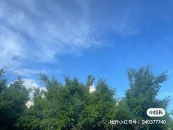-馨月汇·独栋月子中心(南山店)
