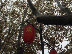 -杭州黄龙洞