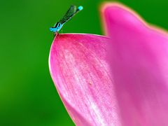 -为民烧烤吧.自贡爆炒菜(收录10年好店)