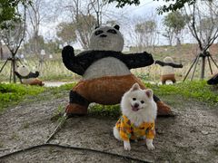 -上海杨姆庄园