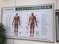-通透堂中医·精准推拿(旗舰店)