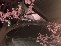 -荷塘秋月·本帮江浙菜(国权路店)