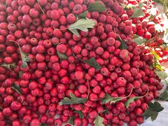 -三旗百汇商品城