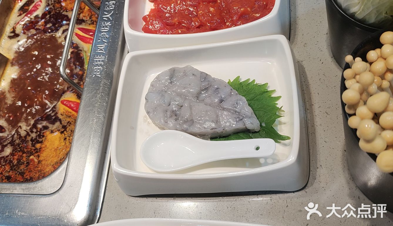 别捞了，直接住海底吧❗️