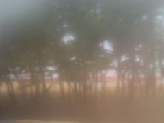 -那香海钻石沙滩浴场