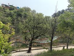 -吉姆冒险世界(蓟州店)