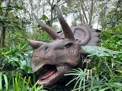 -海南热带野生动植物园