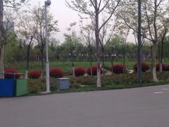 iphone_upload_pic-西安世博园