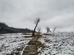 -硗碛藏寨·神木垒景区