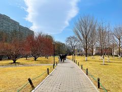 -北京明城墙遗址公园
