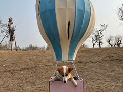 -武汉紫薇都市田园