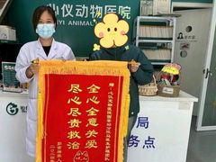 -心仪动物医院·牙专科·肿瘤·心脏科(西客站院)