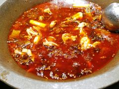 香辣锅-石锅苗苗鱼(武汉首店)