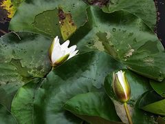 -洛阳白云山景区