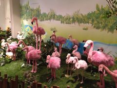 泰迪熊博物馆-济州岛泰迪熊博物馆