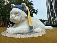 -深圳湾万象城(南山店)