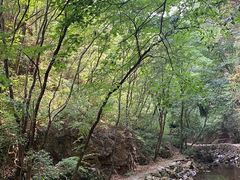 -九龙潭景区