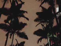 景点-白鹭洲公园