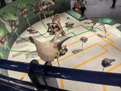 -国家自然博物馆