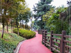 -铁山坪森林公园