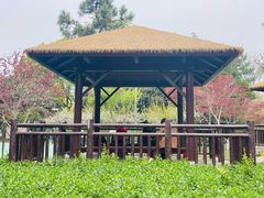 -圩墩遗址公园