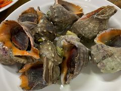 -板桥海鲜广场(文明东店)