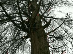 -金堂县云顶石城风景区