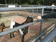 景点-长白岛森林公园