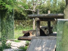 -上海野生动物园