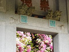 -深圳国际园林花卉博览园