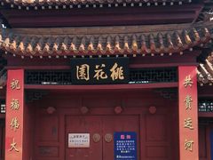 -桃花堤公园