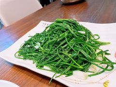 清炒沙葱-靖远尕六美味羊羔肉