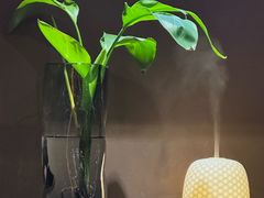 -泰合玺·精油疗愈SPA(雨花客厅店)